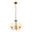 Lustre classique / traditionnel à 3 lumières à intensité variable-2089914770