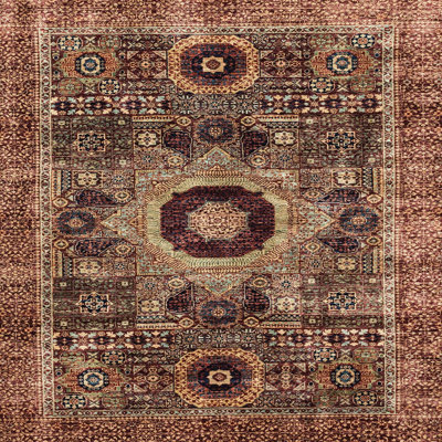Southwestern Indoor Rug