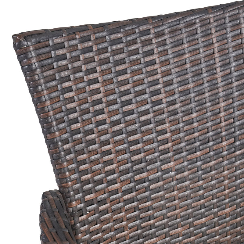 Chaises de salle à manger en osier avec coussin (ensemble de 2)