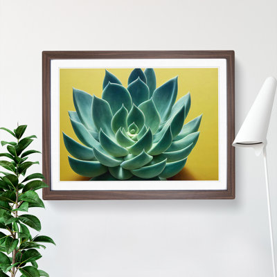 Splendorous Succulent Plant - Framed Print