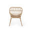 Chaise Harlem