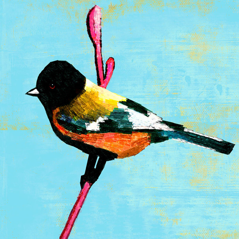 «Nid de Plume I» par Chelsea Art Studio - impression, H 24 po x l 24 po x P 1,5 po, Image au pinceau gel
