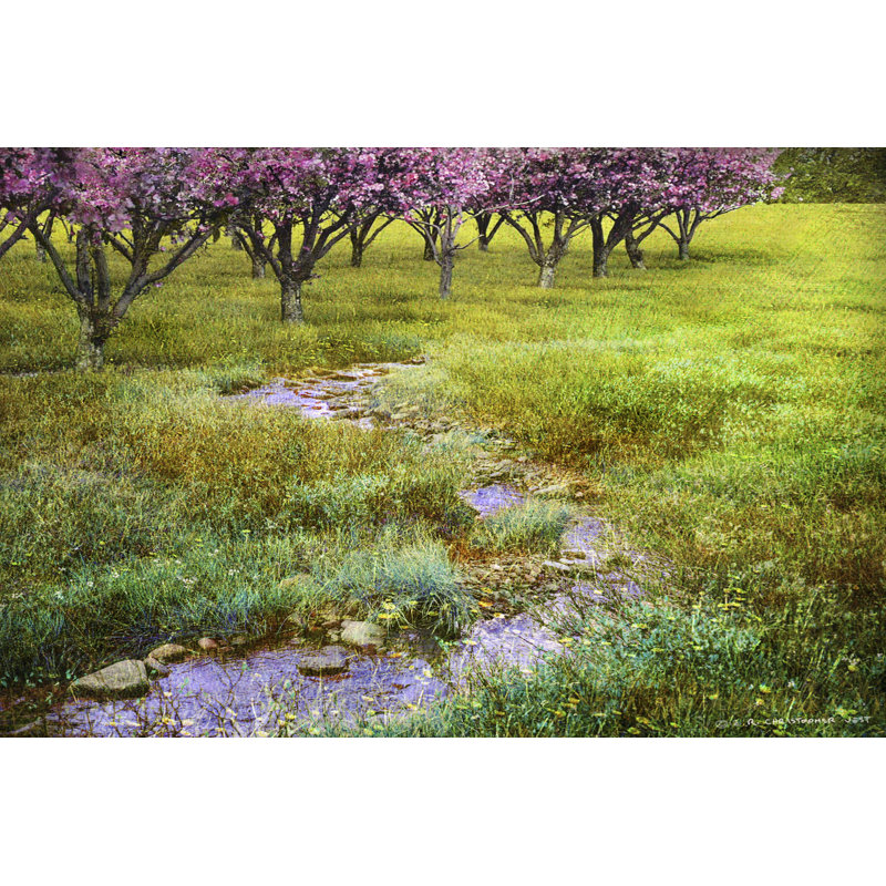 Summer Path - Wrapped Canvas Print, 30cm H x 46cm W x 3.8cm D