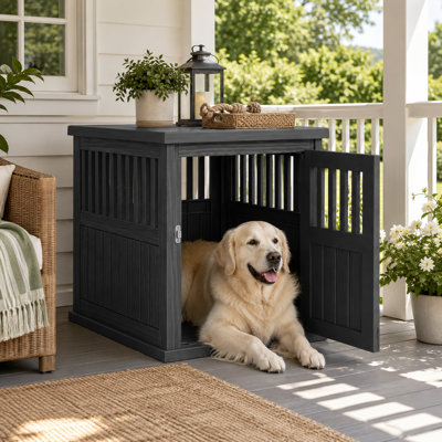 Table pour chien
