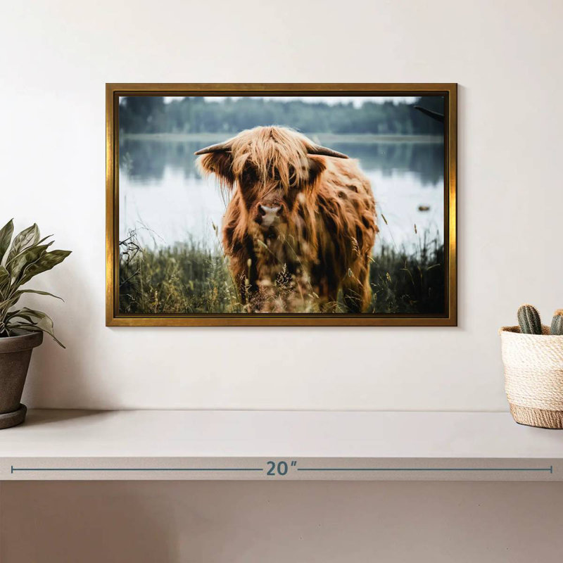 Vache Lakeside Highland, Cadre flottant doré, 13 po x 9 po