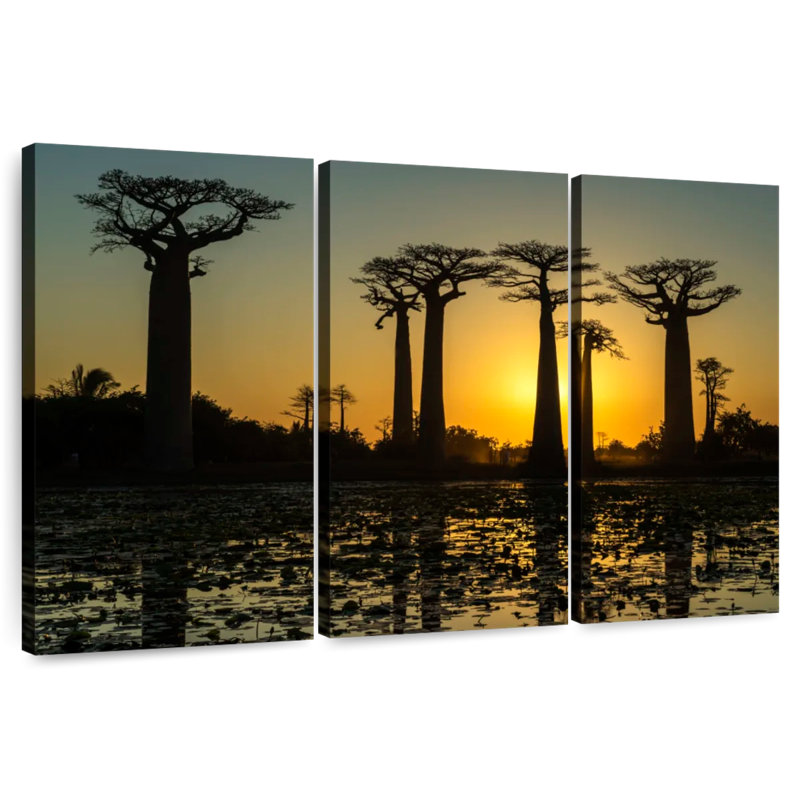 Baobab Harondk silhouette Morondava, H 20 po x l 33 po