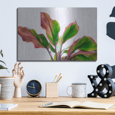 «Botanical» par Dennis Frates