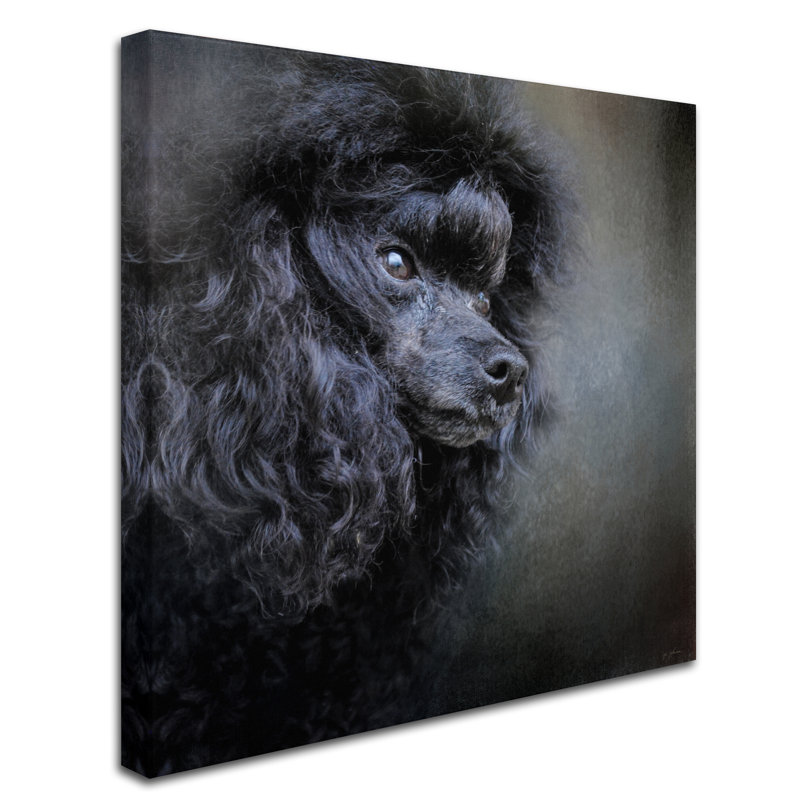«Snack Spotter Toy Black Poodle», impression sur toile tendue Vidur, H 14 po x l 14 po