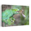 Parson's Chameleon With Tongue Out Ankarafantsika Reserve Madagascar by Todd Gustafson - Wrapped Canvas Print-58760397
