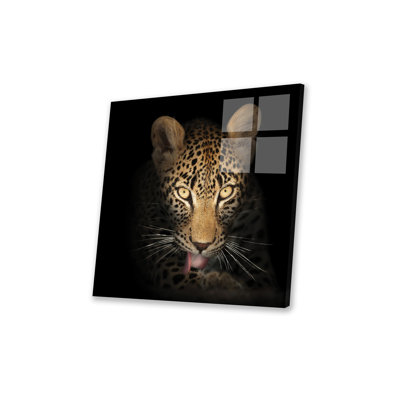 «Leopard in the Dark» par Johan Swanepoel - impression sans cadre