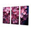 Lilas roses photo Harmony III - ensemble de décorations murales lilas-107746760-107746765