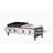 2 Burner Gas And PLANCHA Combo Grill