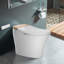 Toilette bidet allongée à double chasse