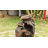 Hertford Hand Crafted Weather Resistant Floor Fountain with Light