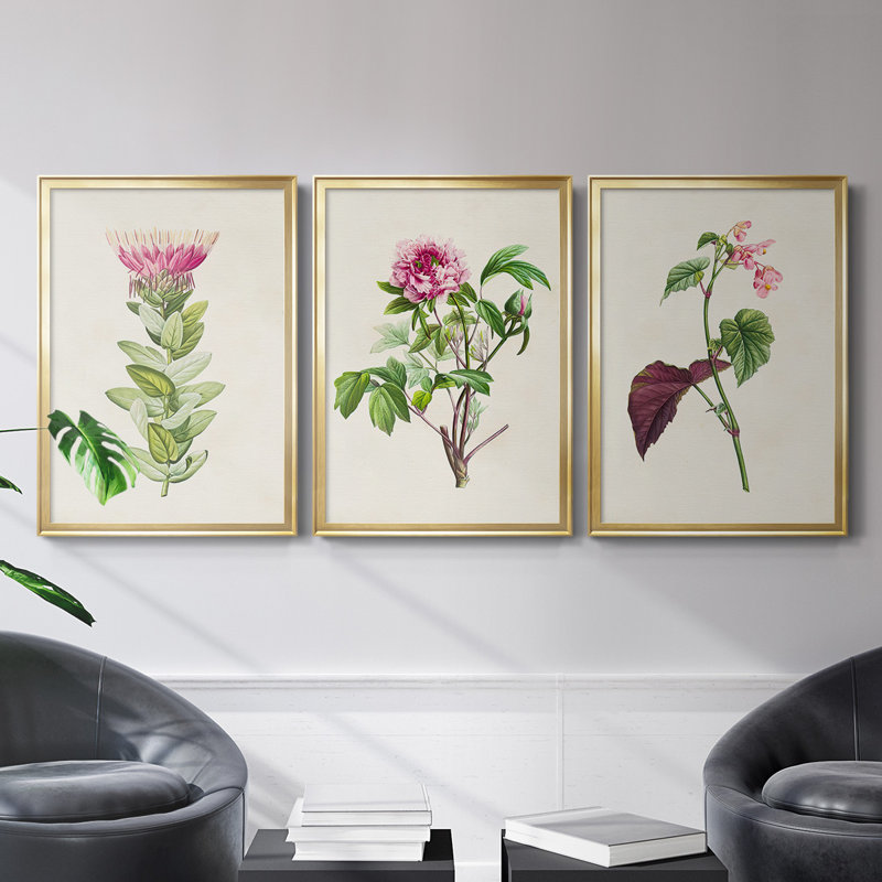Jolie toile botanique de qualité supérieure rose prête à accrocher, H 42,5 po x l 61 po x P 2,5 po, Cadre doré