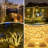 Loryssa 2 - Bulb LED Accent String Light-695991832