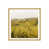 Gold Framed Paper