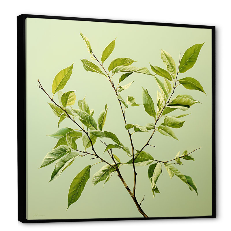 «Green Ferm Simple Collage I», reproduction sur toile, Cadre flottant noir, H 30 po x l 30 po x P 1 po