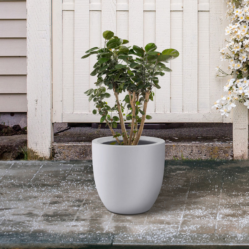Pot à fleurs en béton Karola, Béton naturel, H 17 po x l 18 po x P 18 po