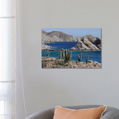 Cardon Cacti, Santa Catalina Island, Sea of Cortez, Mexico 1 Piece Wrapped Canvas Wall Art