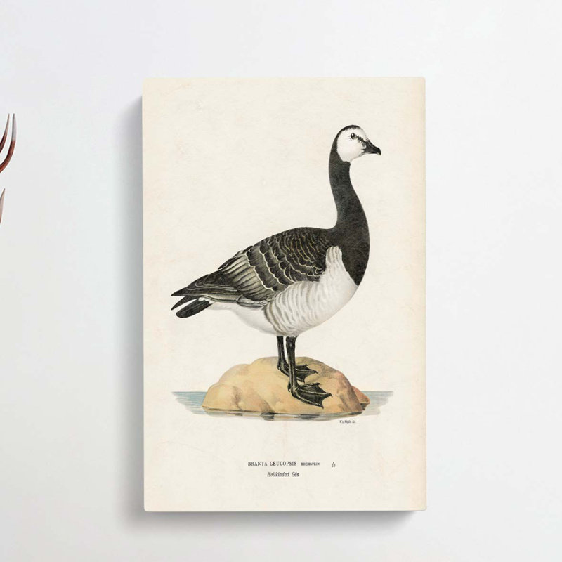 Barnacle Goose by Von Wright - Wrapped Canvas Painting, 50cm H x 35cm W x 3cm D