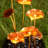 Outdoor Metal Fountain