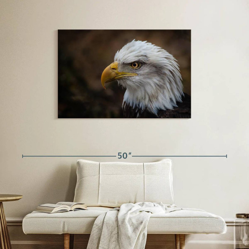 Brampt Bald Eagle Gaze, 26" H x 39" W