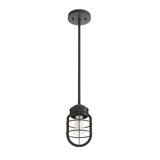 Starklake 1 - Light Single Jar Mini Pendant