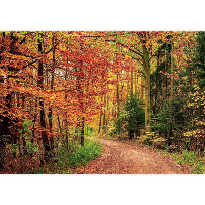Peel & Stick Border