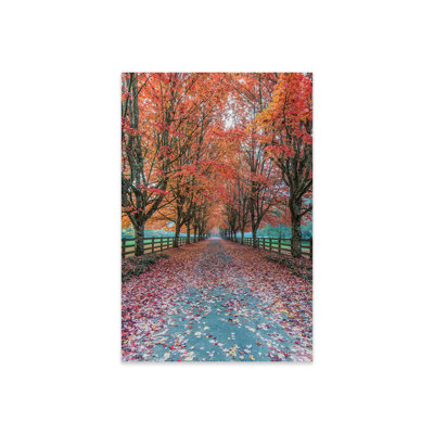 " USA, Washington State, Snoqualmie. Autumn Country Lane. " by Rob Tilley