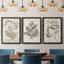 Midnight Tulip III - Ensemble de 3 cadres photo sur toile-856270381-856270417