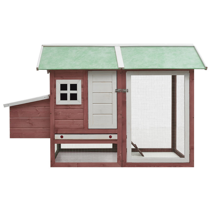 Cage à poulet Vidaxl en pin massif et bois de sapin 66,9 po x 31,9 po x 43,3 po, Mocha/Green
