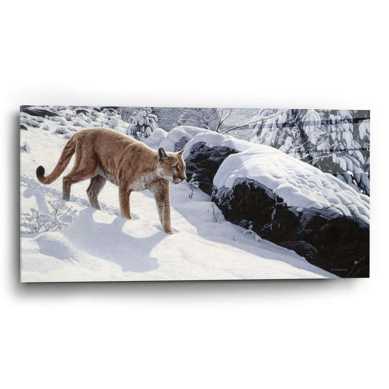 «Soft Snow-Cougar» par Ron Parker, H 12 po x l 24 po