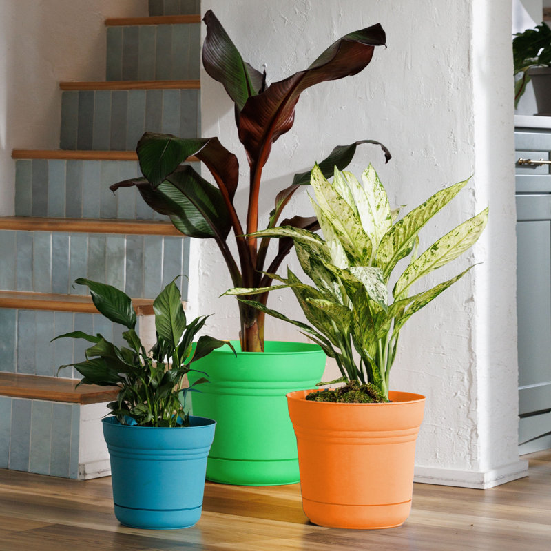 Saturn Traditional Plastic Indoor/Outdoor Round Planter with Saucer, 10.75" H x 12.25" W x 12.25" D, Mango