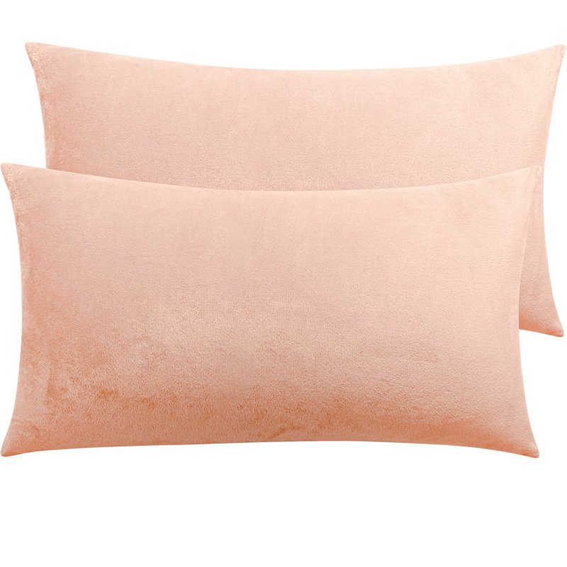 Taies d'oreiller à fermeture à glissière, taies d'oreiller en flanelle de velours de luxe, très doux - NTBAY, 20" x 30", Rose