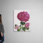 Hydrangea, art mural sur toile-1557995887-1557995881