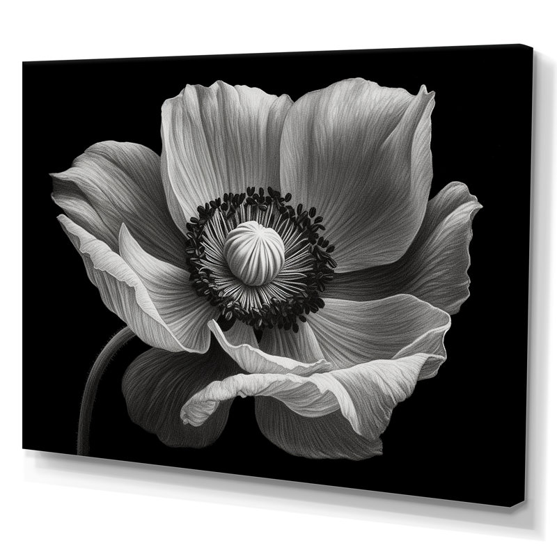 Coquelicots noirs et blancs sur toile, H 30 po x l 40 po x P 1,5 po, Toile tendue