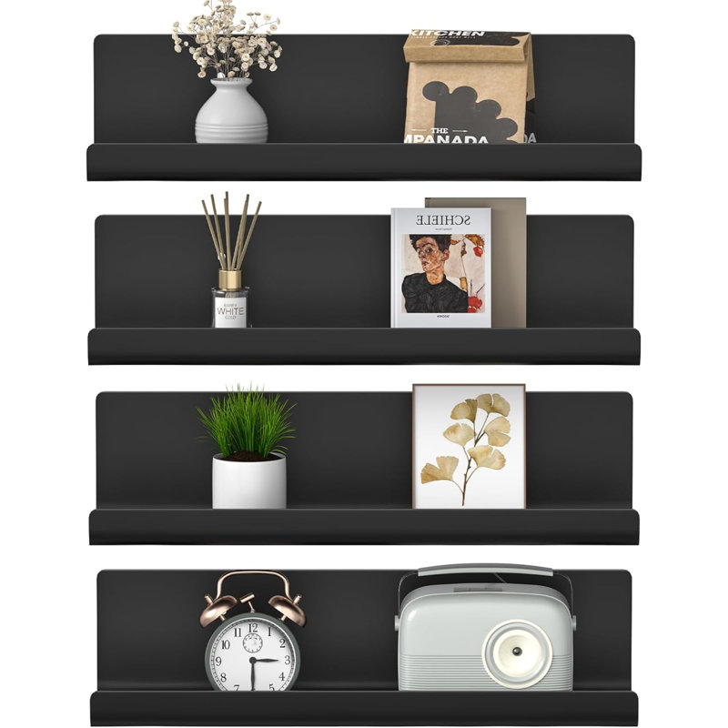 Raian 4 Piece Floating Shelf, Black