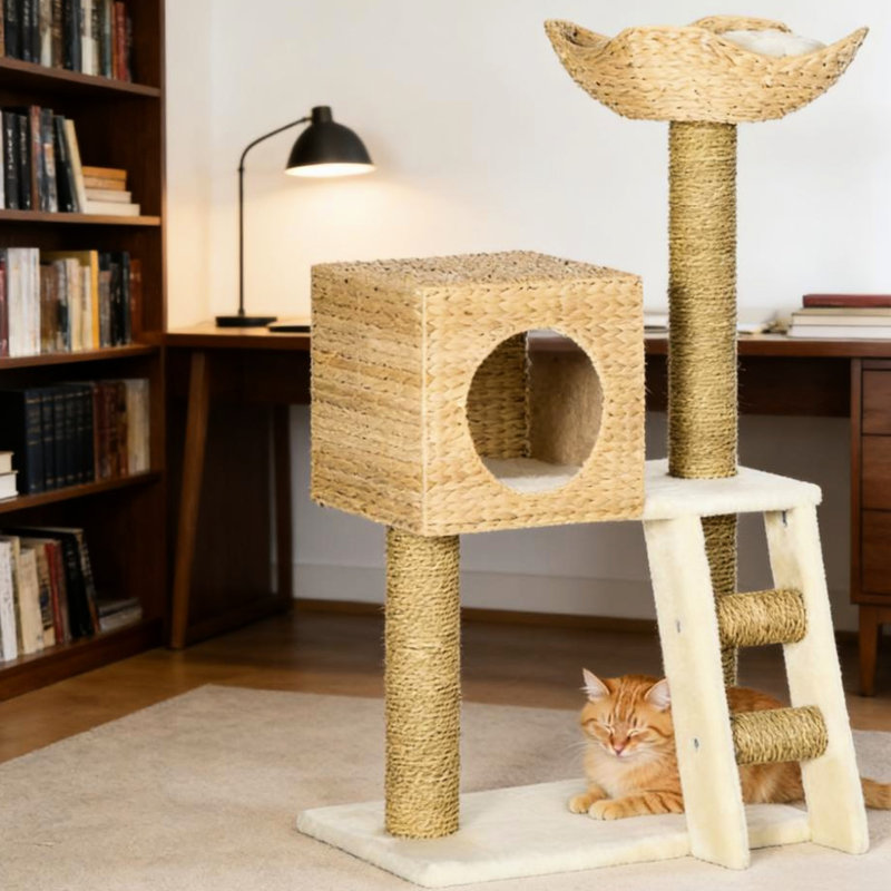 Tour pour chat d'intérieur avec grotte douce, poteaux à griffer, pour grimper, base en panneau de particules, couleur naturelle, assemblage requis