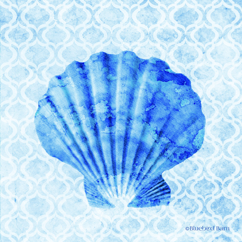 " Seashell " by Bluebird Barn, 12" H x 12" W, Wrapped Canvas