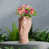 Rose est en rupture de stock