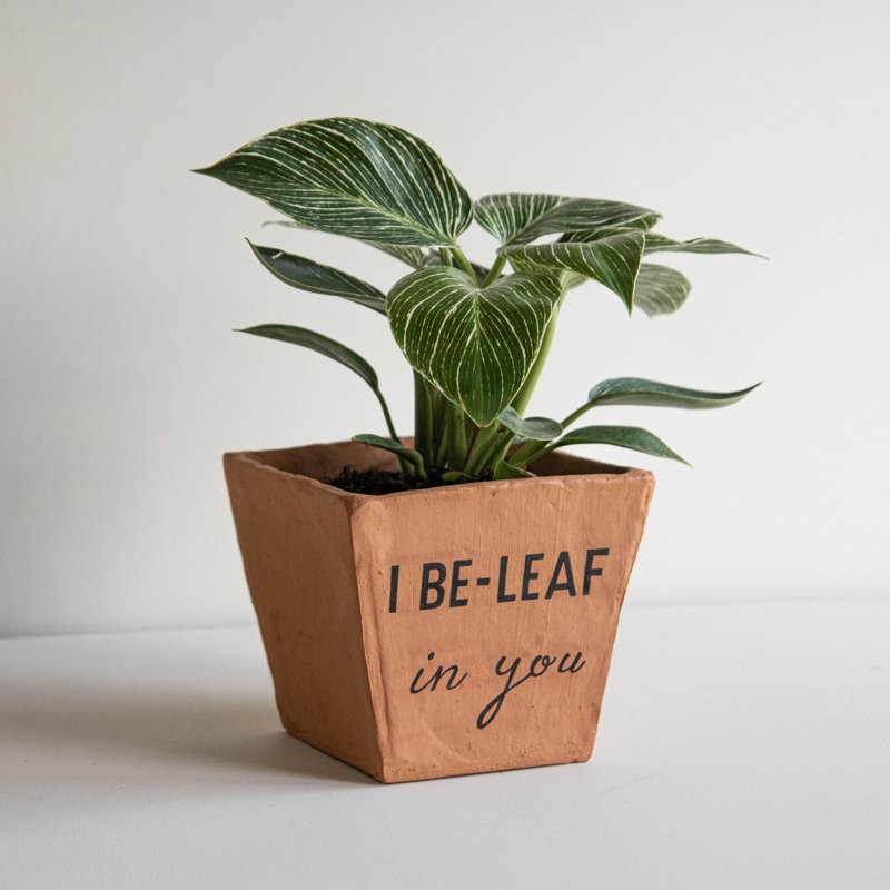 Denena Pot Planter