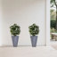 Ensemble de 2 arbres artificiels avec fleurs blanches Ginkgo Biloba