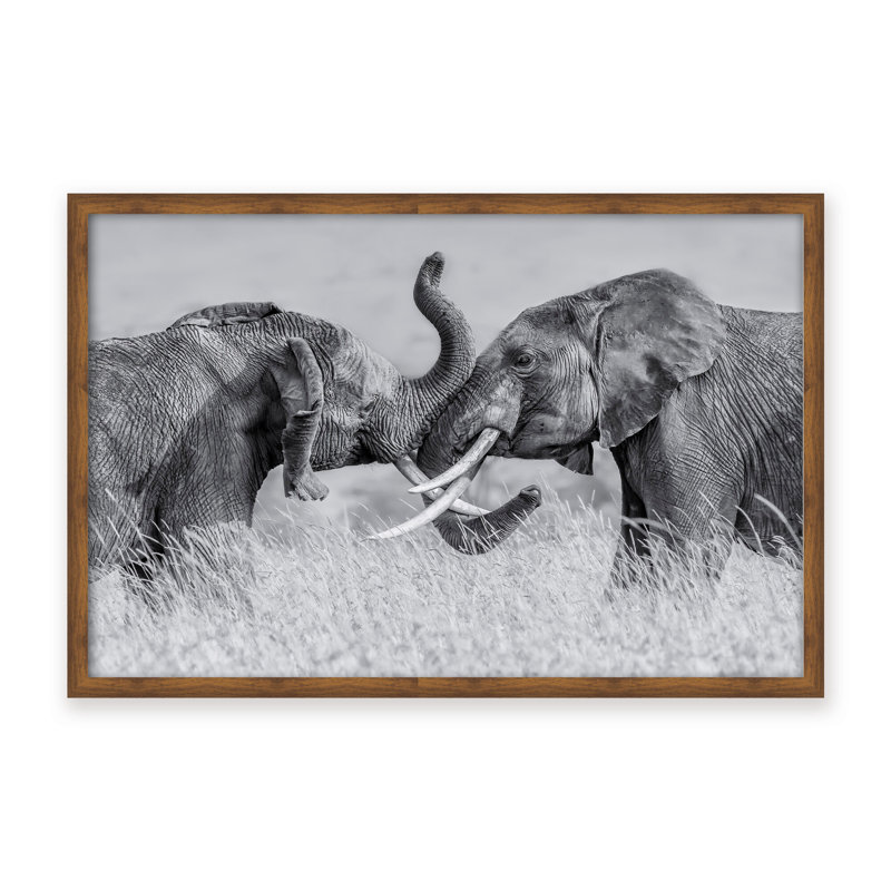 Nature Inspired Elephant Tai Chi by  - Picture Frame Photograph on Paper, 24" H x 36" W x 1.125" D, Black