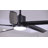 Lecole 52'' Ceiling Fan with LED Lights-1933106