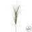 Wegman 6 Piece Curled Agave Grass