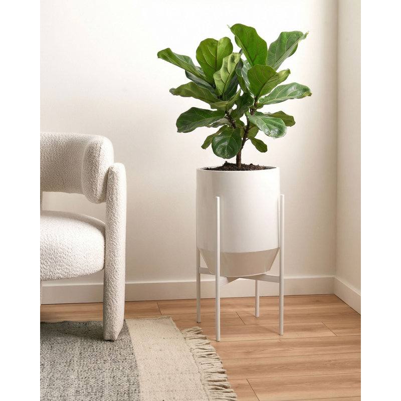 Elevated Planter