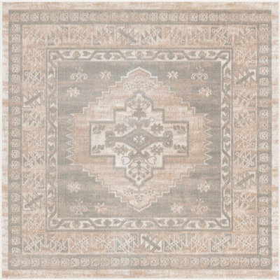 Matthei Oriental Indoor Rug
