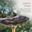 Bain d'oiseaux Ringler 2 Birds