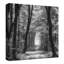 «Speuldimensions Spring BandW», reproduction d'impression sur toile tendue-1365542535